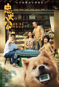 中国版《忠犬八公》定档